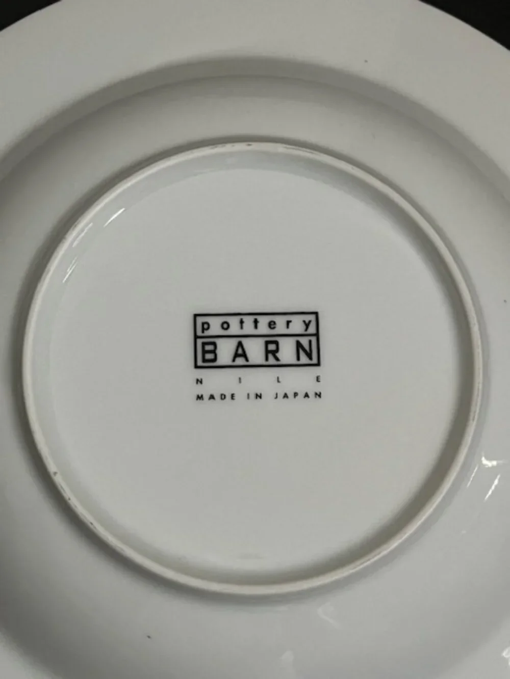 Pottery Barn Nile Shallow Bowl